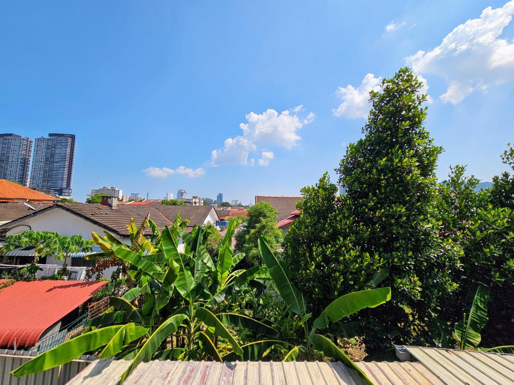 Panchor 6 * Georgetown
